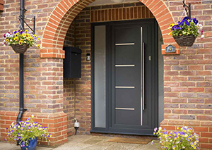 Entrance Doors